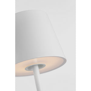 Nevis Accent Rechargeable Table Lamp - Visual Comfort Modern 76