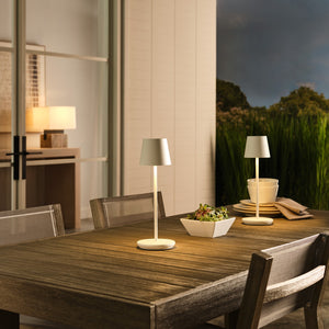 Nevis Accent Rechargeable Table Lamp - Visual Comfort Modern 84