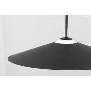 Astra Medium Pendant Brushed Nickel - Visual Comfort Ceiling Lights