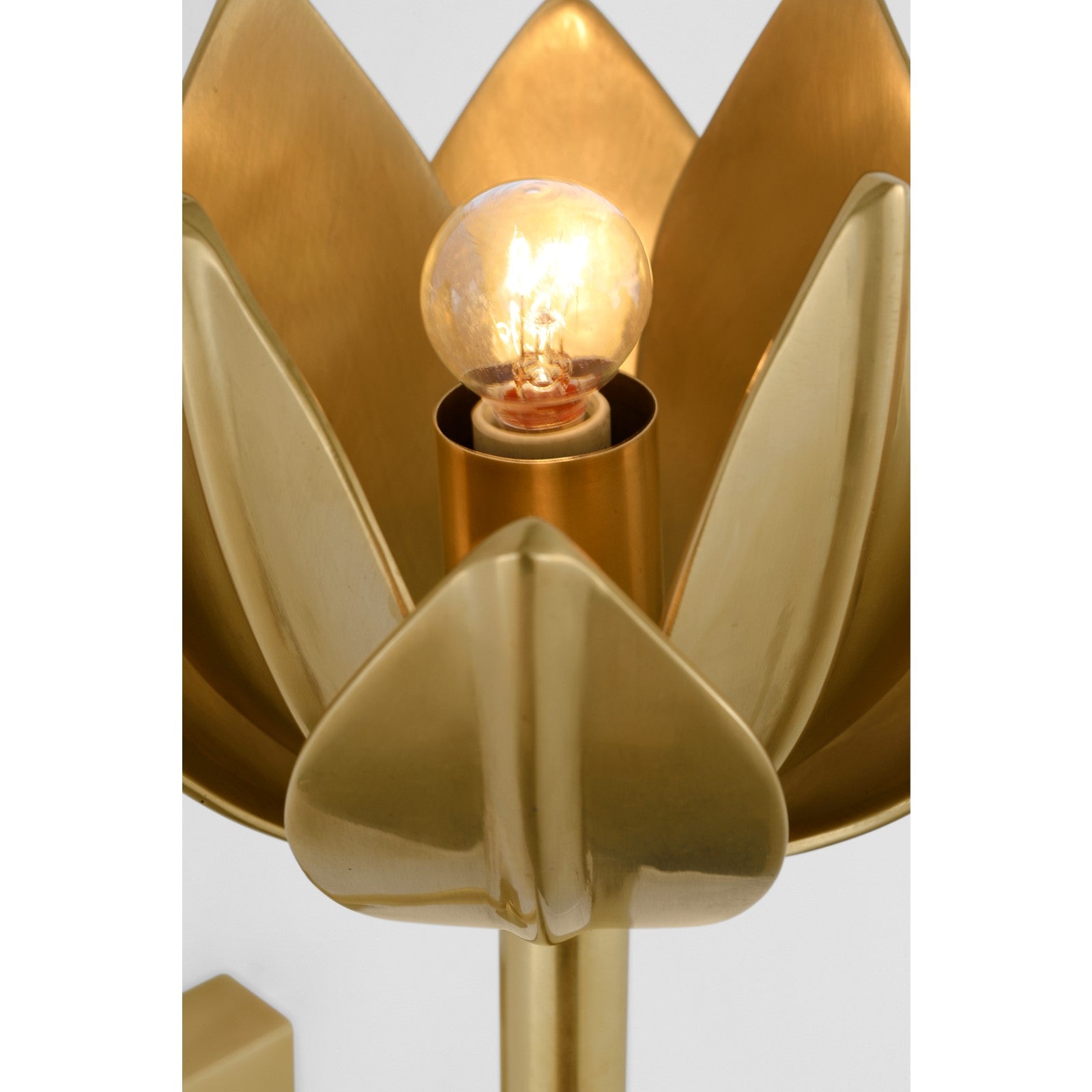 Alberto Medium Sconce - Visual Comfort Wall Lights