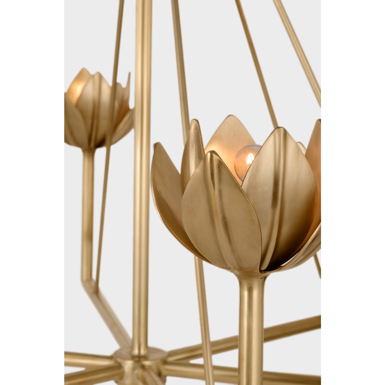 Alberto Large Single Tier Chandelier - Visual Comfort Ceiling Lights