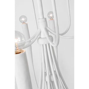 Acadia 52" Grande Chandelier - Visual Comfort Ceiling Lights
