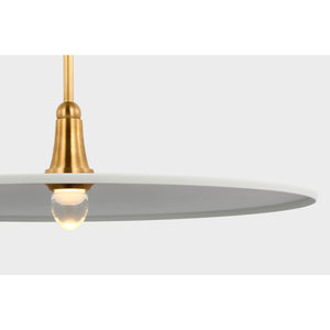 Truesdell 24" Pendant - Visual Comfort Ceiling Lights