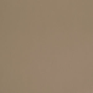 Darcy Dining Chair - Taupe