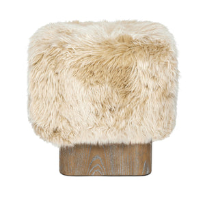 Noah Stool