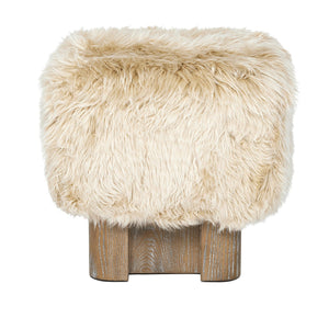 Noah Stool