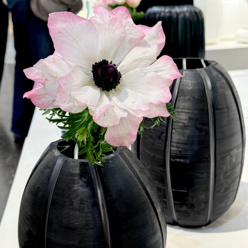 Nagaa Vase Clear/Black $251 - $292