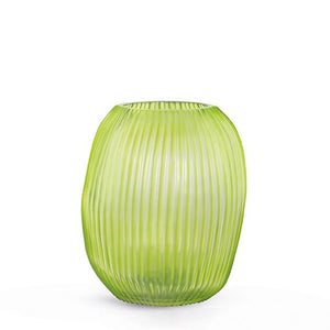 Nagaa Vase Clear/Lightgreen