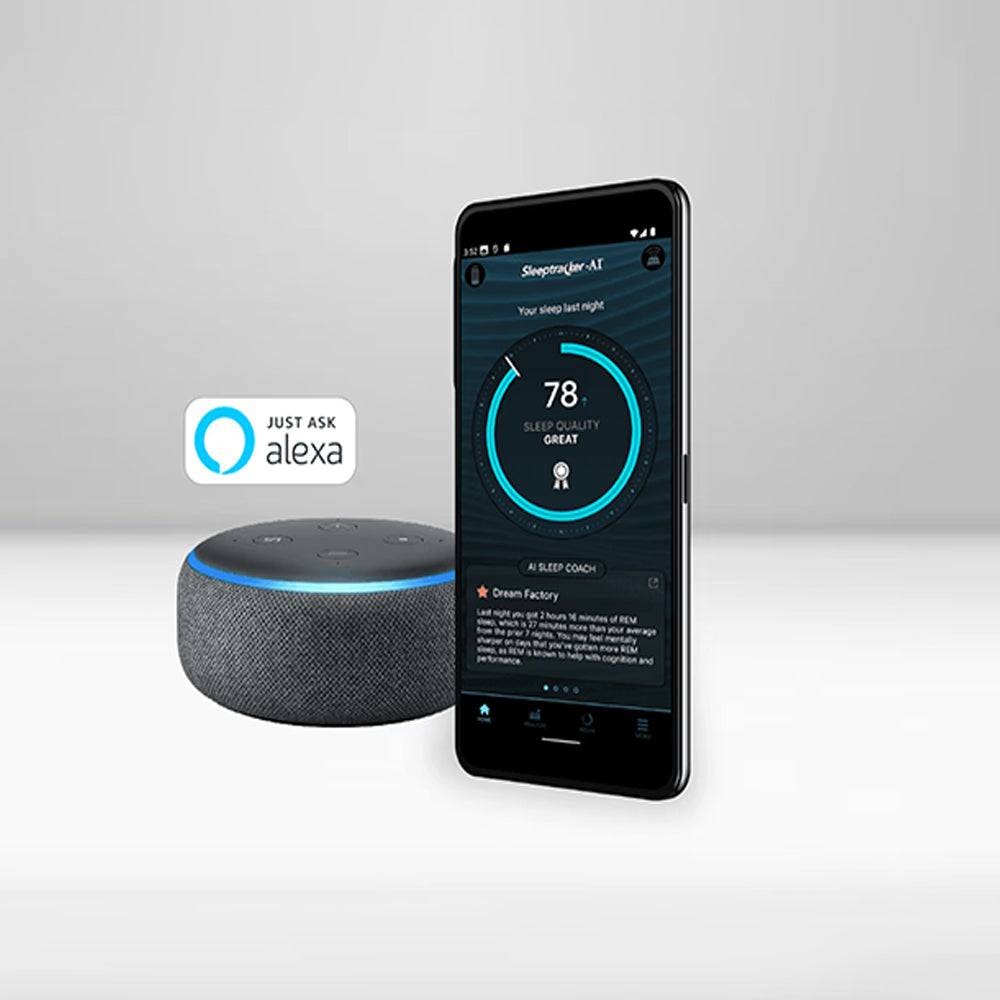 Decor House Furniture