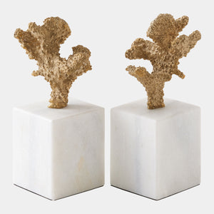 Global Views Coral Sculptures – front view
