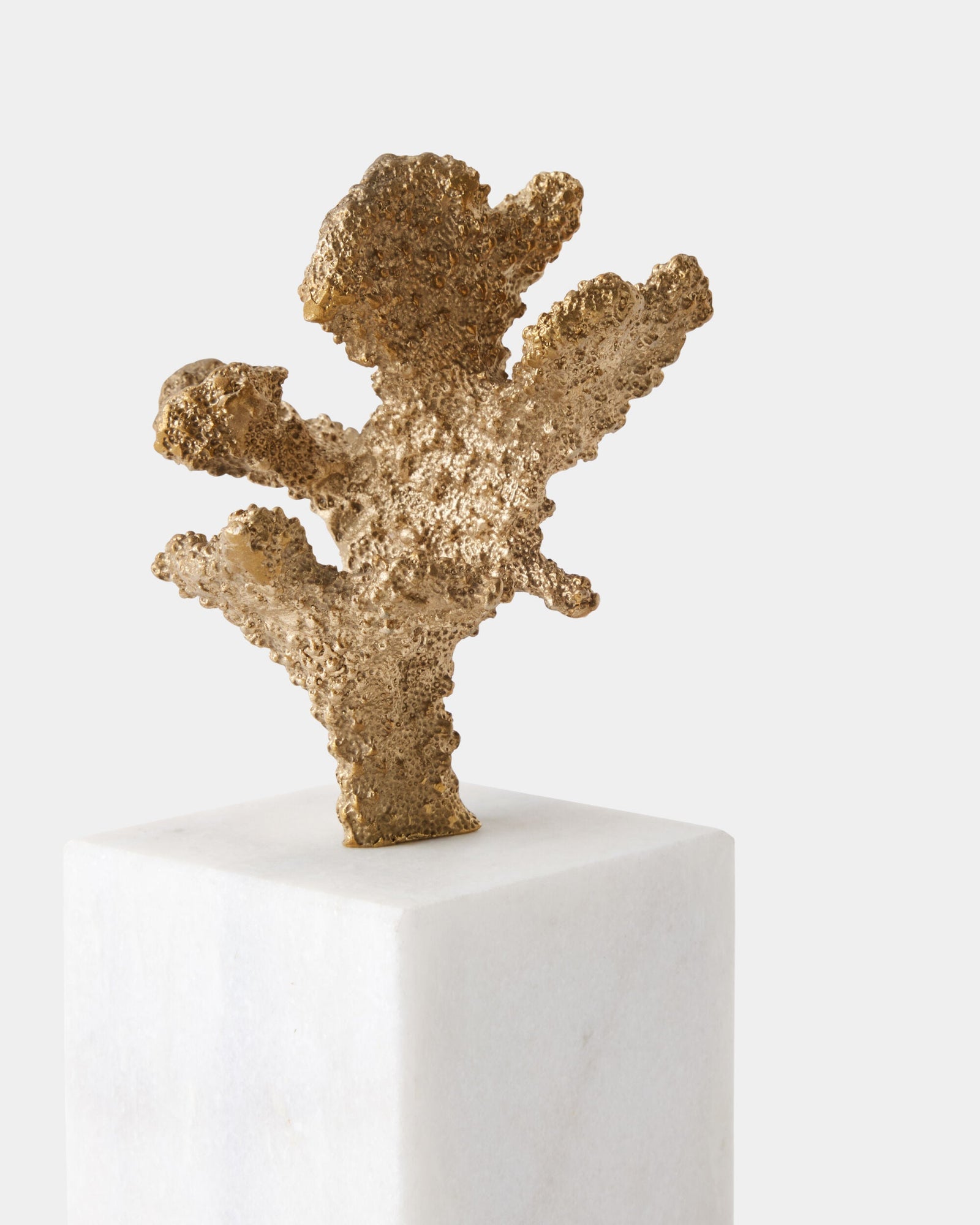 Global Views Coral Sculptures – angle view