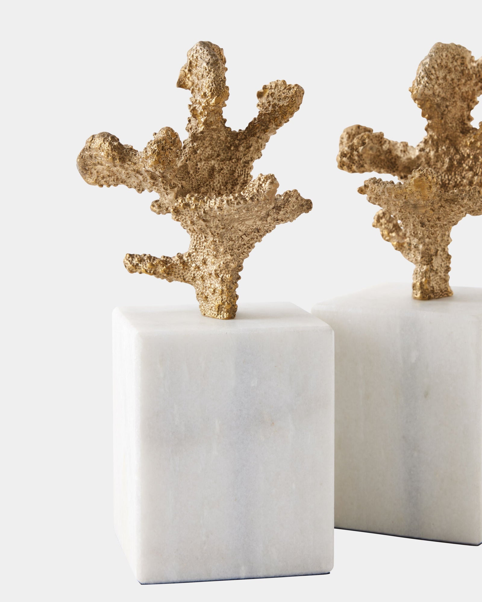 Global Views Coral Sculptures – base detail