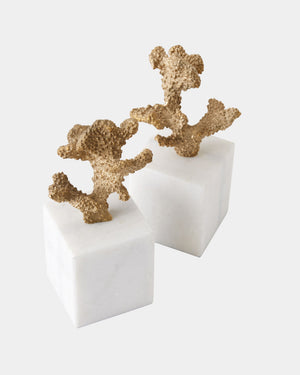 Global Views Coral Sculptures – corner view