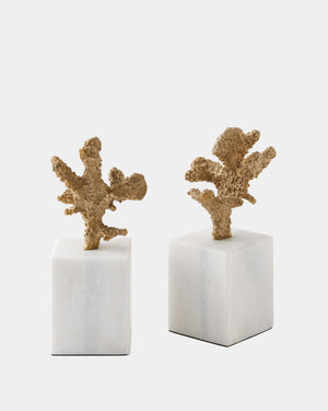 Global Views Coral Sculptures – side view