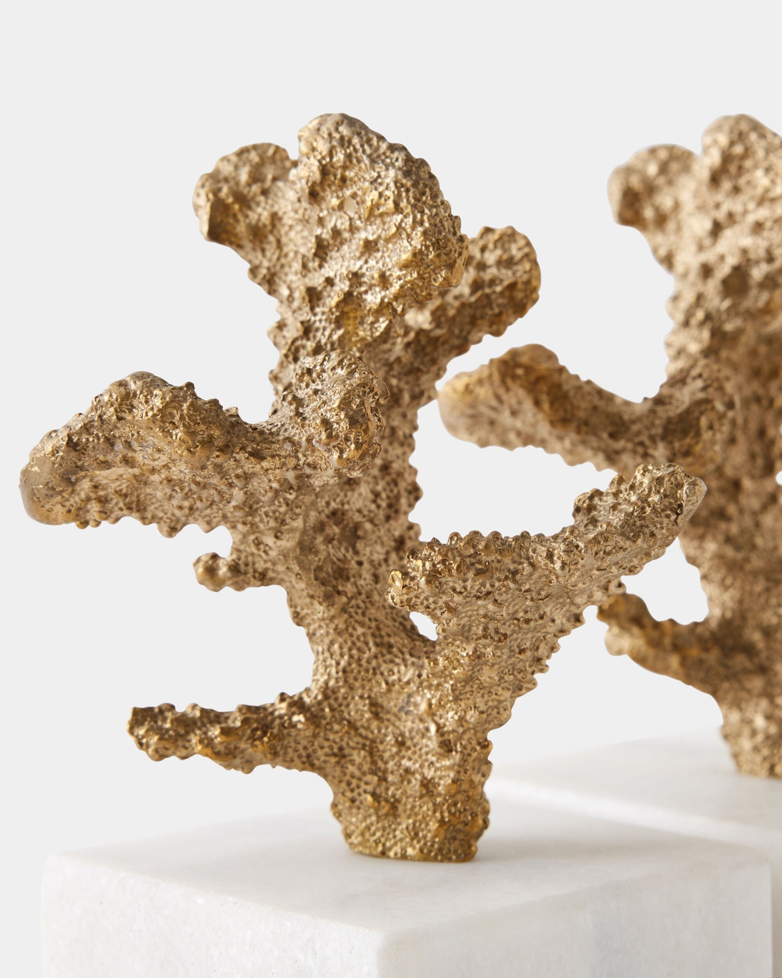 Global Views Coral Sculptures – texture detail