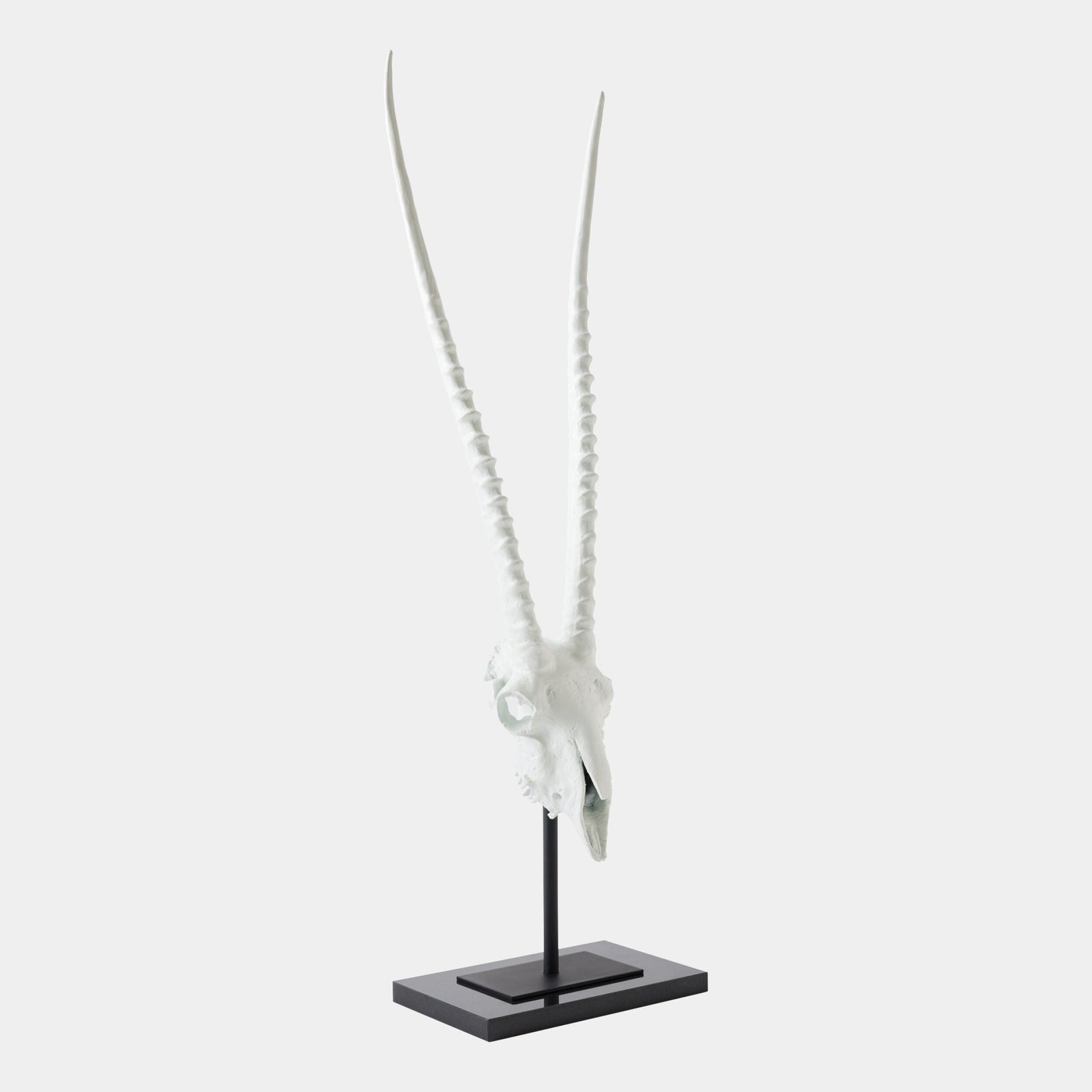 Global Views Gemsbok Skull Sculpture – front view