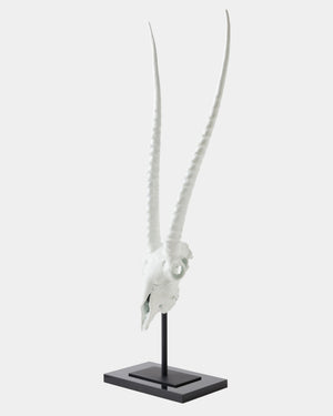 Global Views Gemsbok Skull Sculpture – angle view