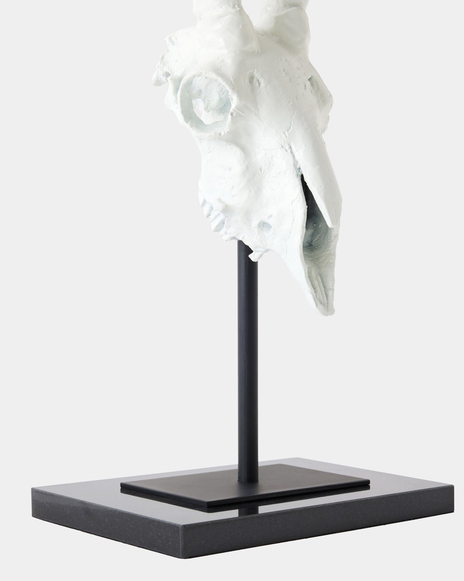 Global Views Gemsbok Skull Sculpture – base detail
