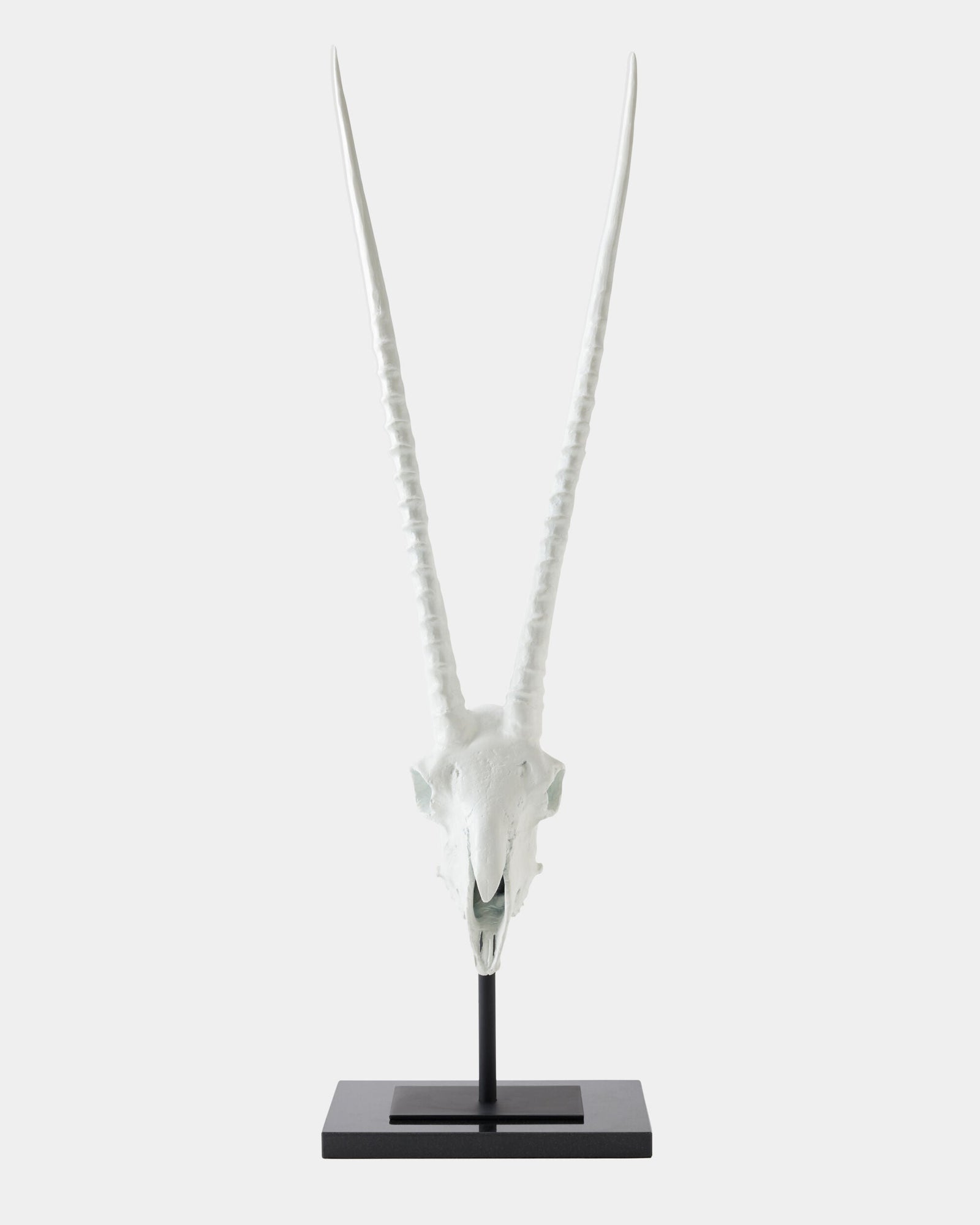 Global Views Gemsbok Skull Sculpture – profile view