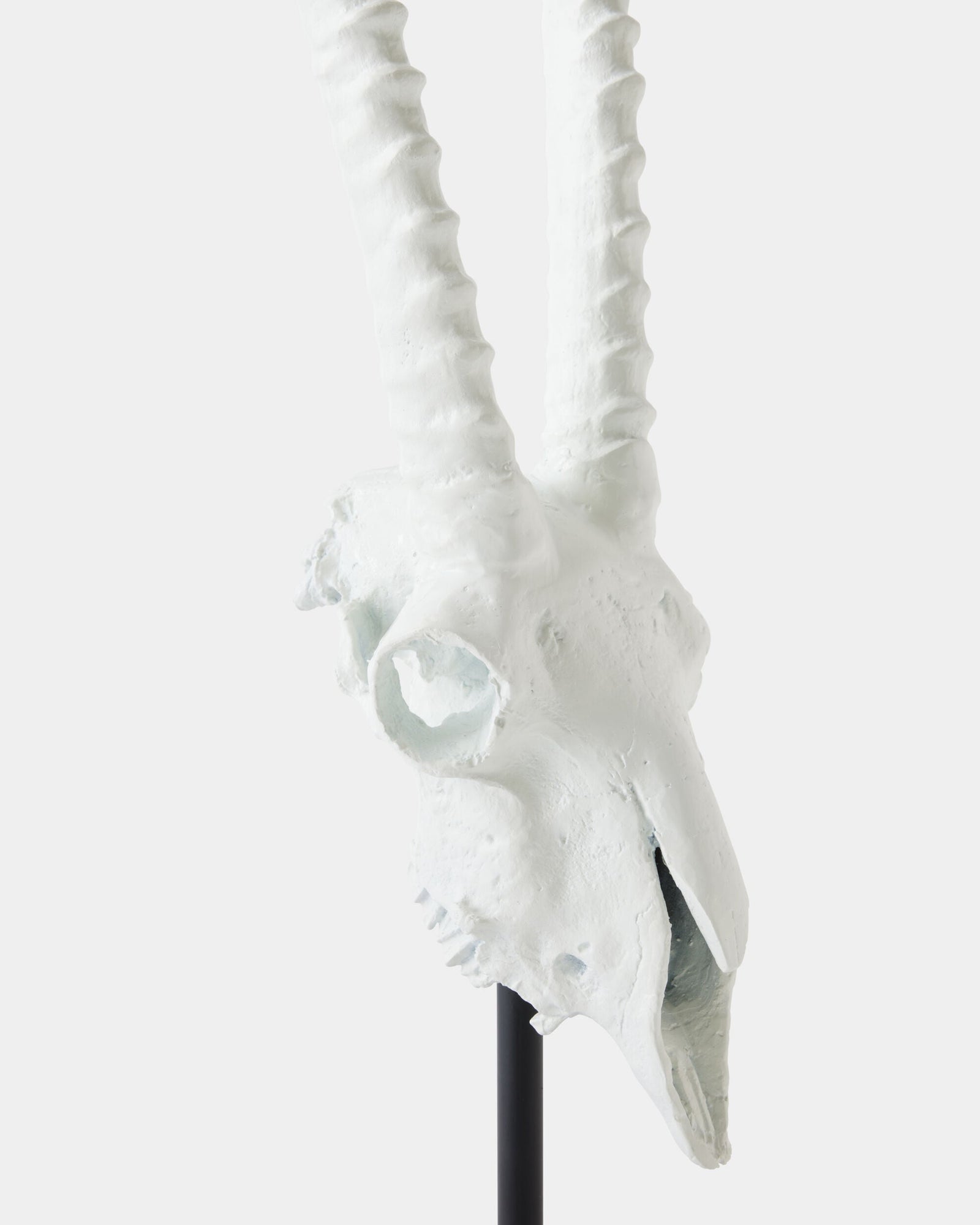 Global Views Gemsbok Skull Sculpture – texture detail