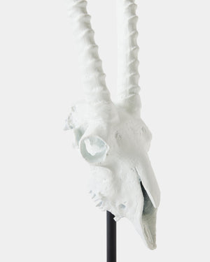 Global Views Gemsbok Skull Sculpture – texture detail