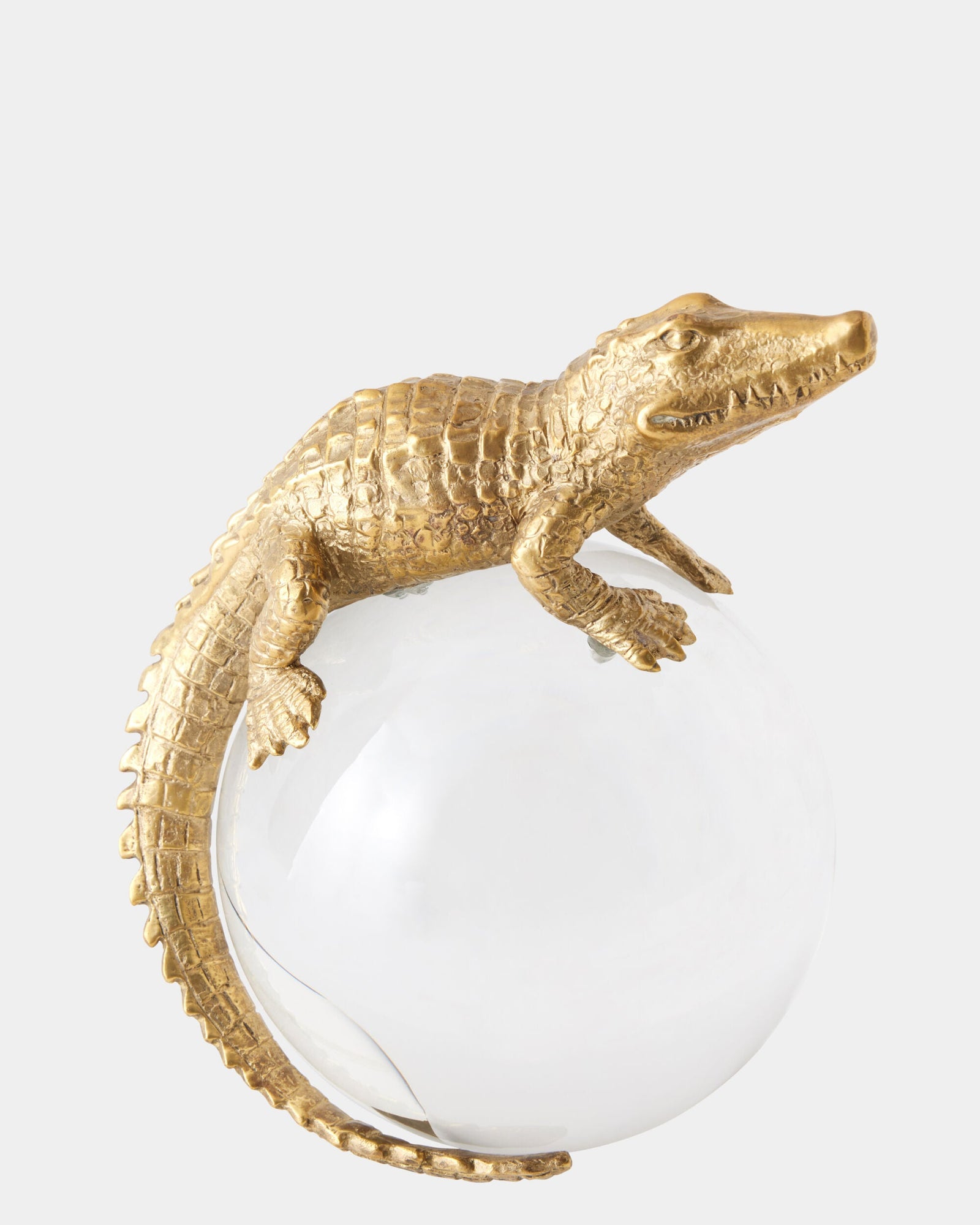 Global Views Alligator on Orb – texture detail