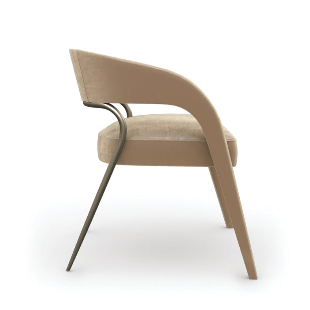 Decor House Furniture