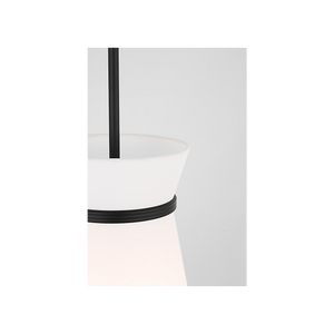 Fynn One Light Pendant With LED Bulbs