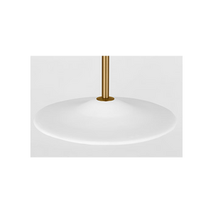Endicott 24 Pendant
