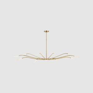 Decor House Furniture