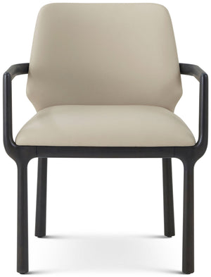 Theodore Alexander Kesden Dining Armchair Silent Black, Humus Leather – detail