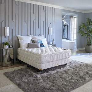 Decor House Furniture