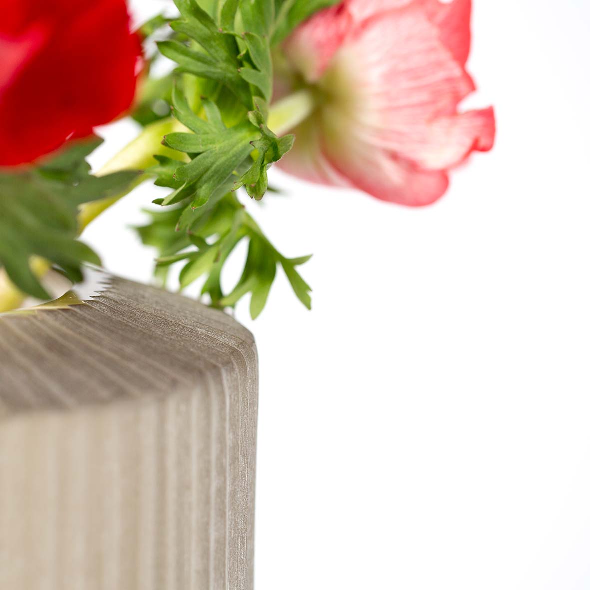 Decor House Furniture