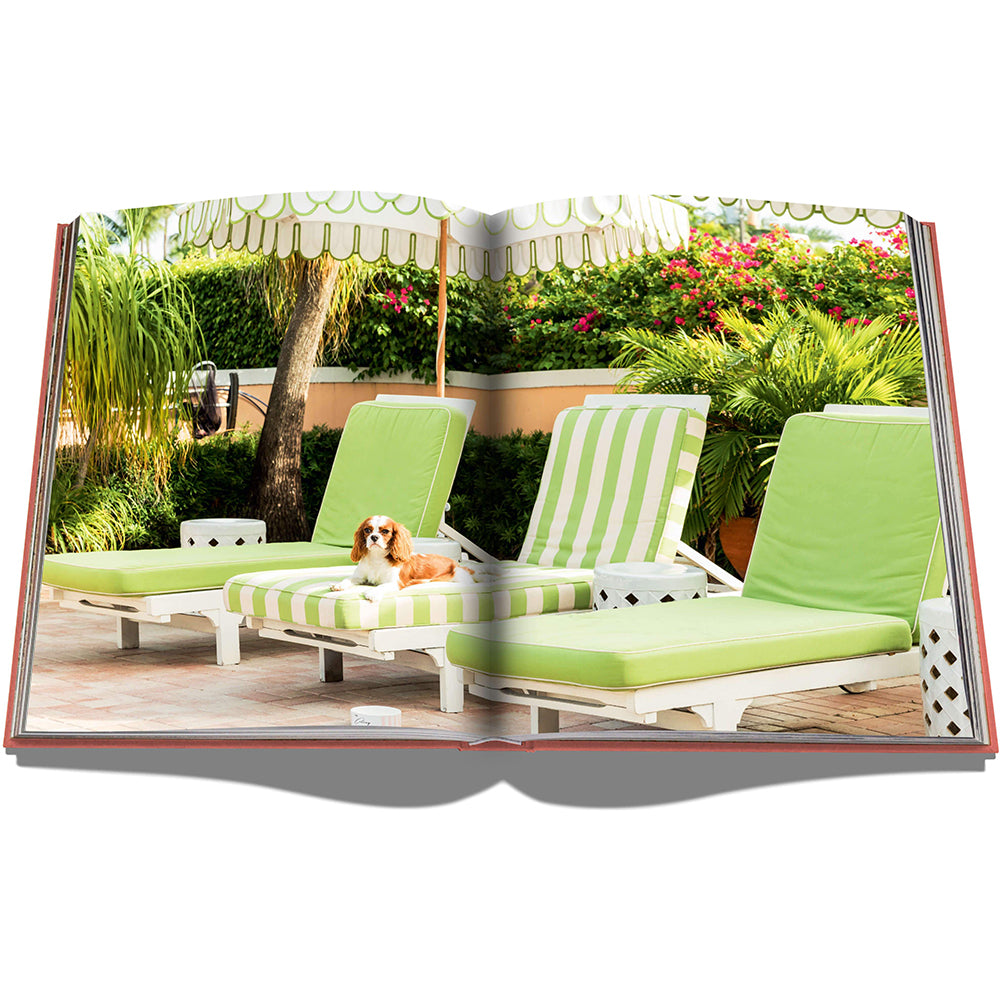 Decor House Furniture