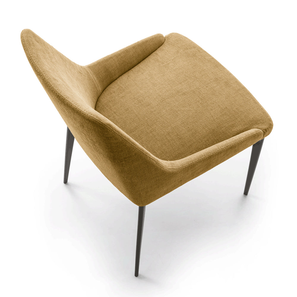 Decor House Furniture