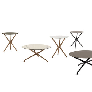 Decor House Furniture