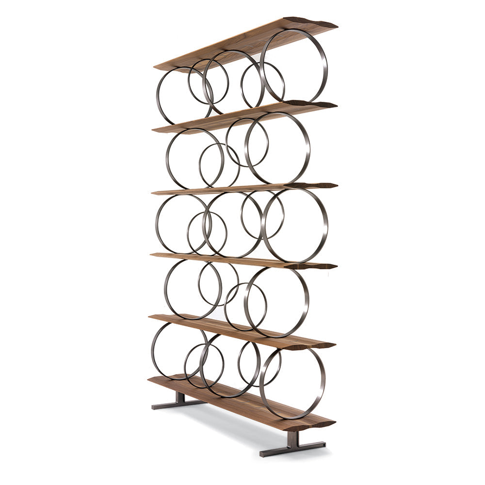 Flying Circles Bookcase