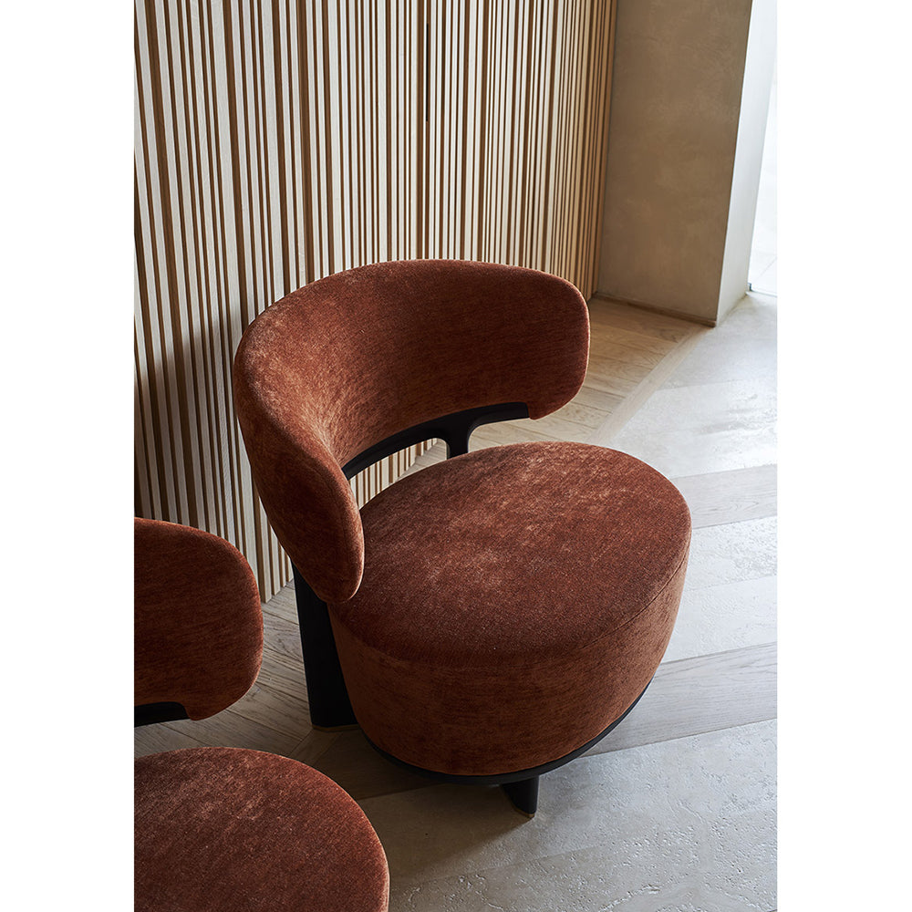 Decor House Furniture